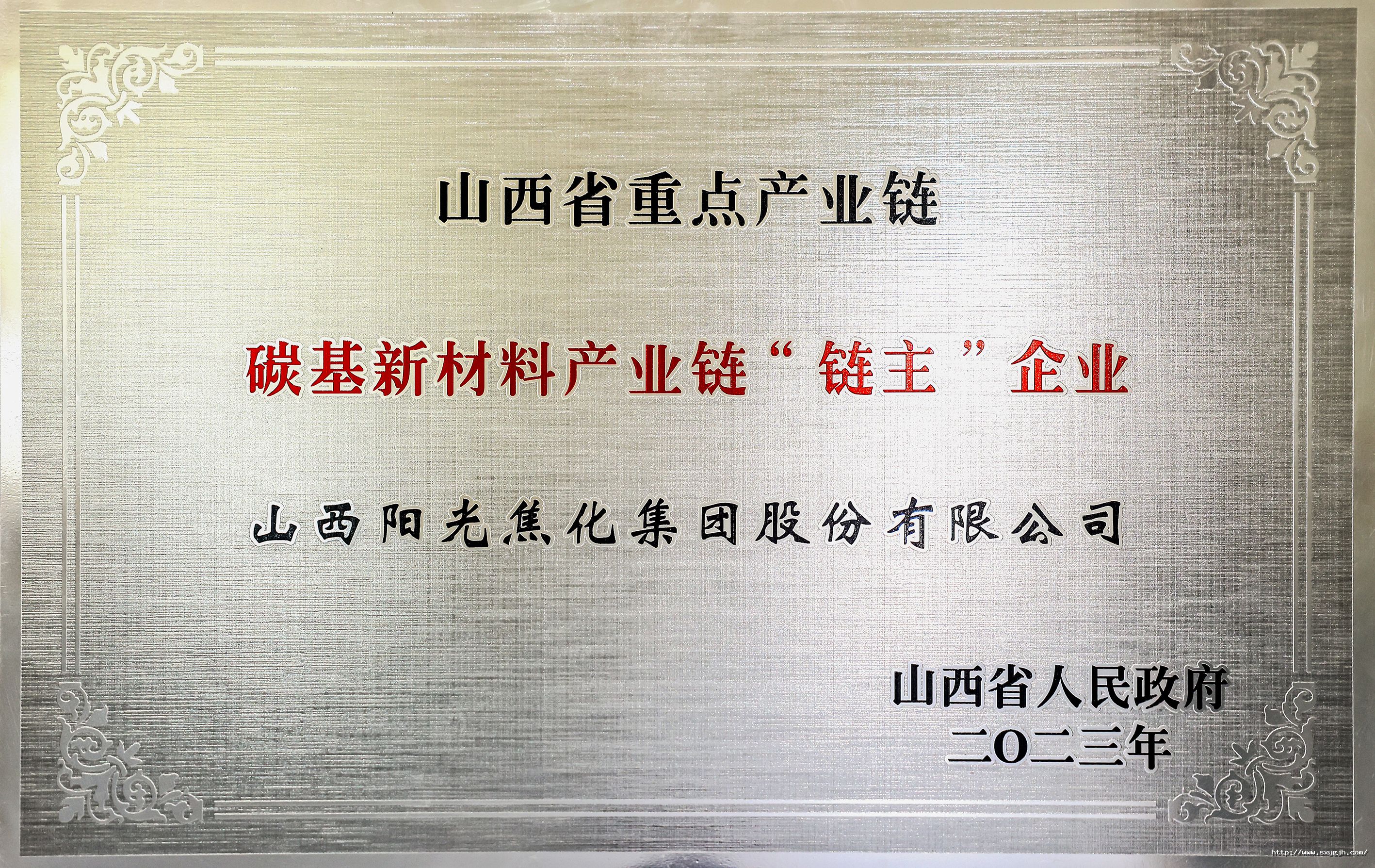 集團(tuán)碳基新材料鏈主企業(yè)2.jpg